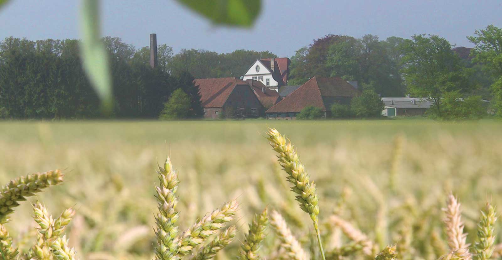 Herstellung